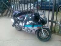 669211.jpg