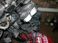 DSCN4981.JPG