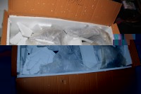IMG_6751.JPG