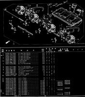Nc23_F2.JPG