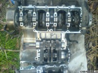 20100828233528597.jpg