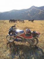 IMG_20110929_143246.jpg