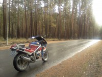 IMG_20110930_111343.jpg