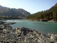IMG_20110929_103652.jpg