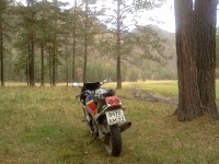 IMG_20110930_132011.jpg
