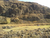 IMG_20110929_103625.jpg