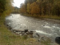 IMG_20110930_120547.jpg