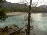 IMG_20110930_133849.jpg