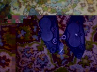 06012008039.jpg