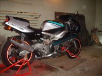 S5003360.jpg